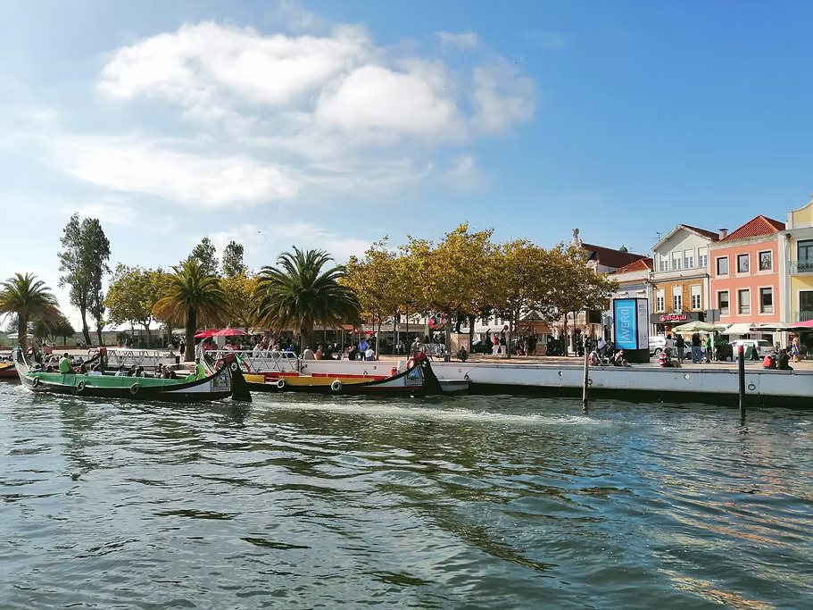 Aveiro paseo en moliceiro